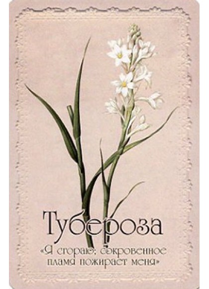 Оракул «Селам или Язык Цветов»